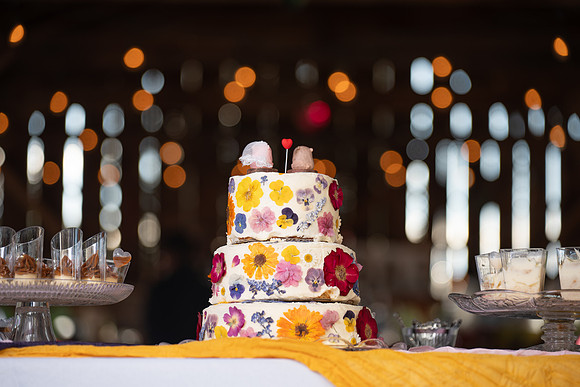 Kaylan & Dustin FB-641