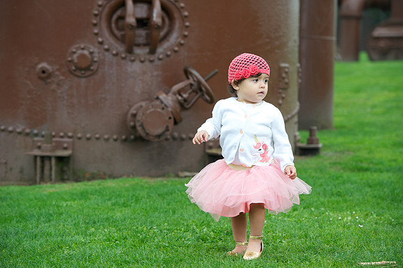 172__DSC0012
