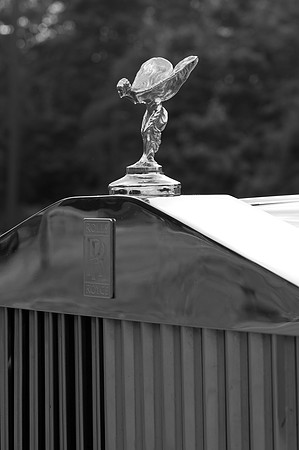 203_DSC_3846